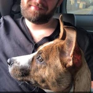 Meet your Posher, Chadwick